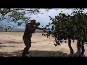 Conferencia: Los neandertales cazadores